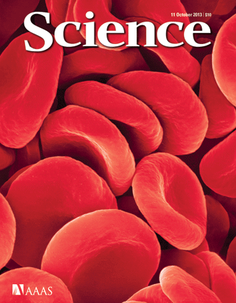 ScienceCover11Oct13